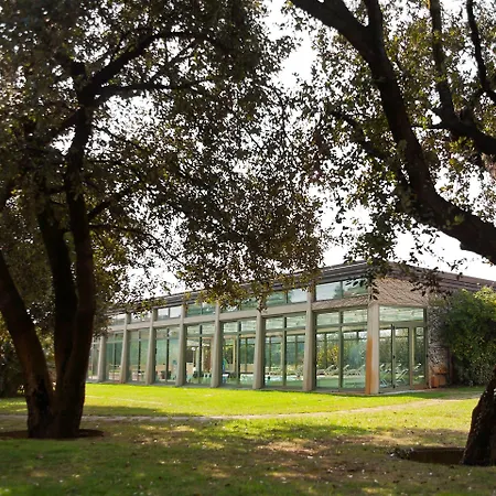 Undulna - Terme Della Versilia Hotel Cinquale