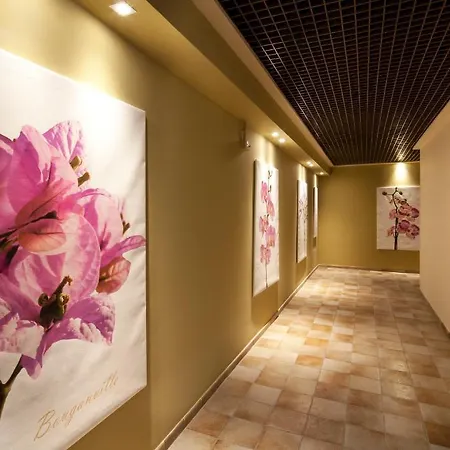 Hotel Undulna - Terme Della Versilia Cinquale